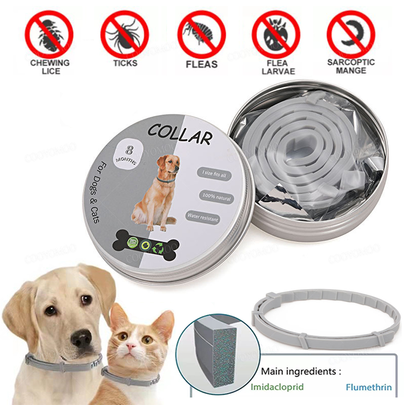 Dog Anti Flea And Tick Collars - Pet Immune Pir Sensor ulasan dan harga