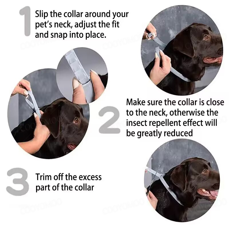 Dog Anti Flea And Tick Collars - Pet Immune Pir Sensor ulasan dan harga