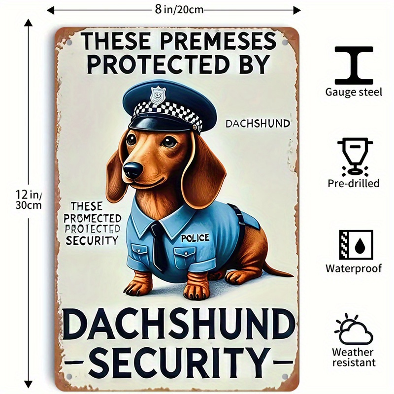 2D Flat, [2D Flat] 1-Piece Fun - Home Yard Security ulasan dan harga
