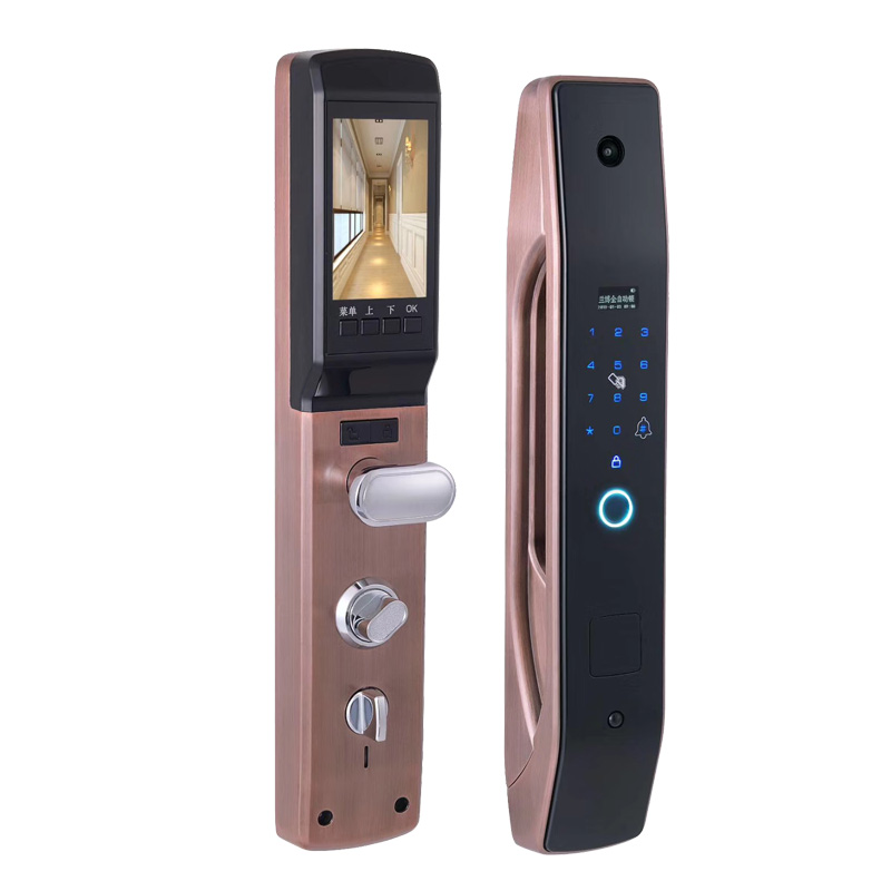 HanDaily Easy to Install Intel - Home Security Locks For Doors ulasan dan harga