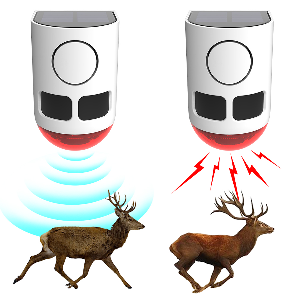 Solar Outdoor Motion Sensor Al - Home Yard Security ulasan dan harga