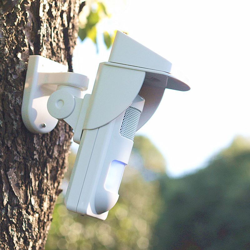Wireless 433Mhz Infrared Solar - Pet Immune Pir Sensor ulasan dan harga