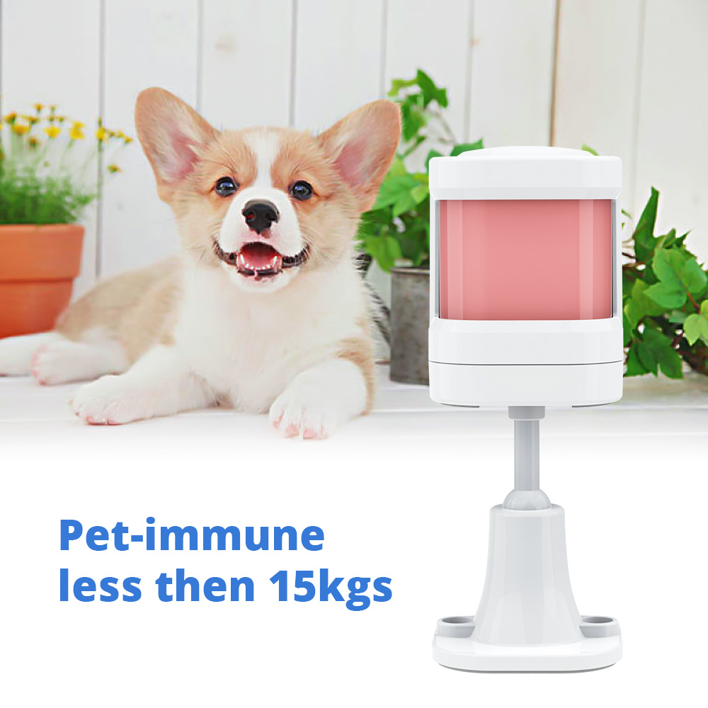P20 Anti-pet PIR Motion Sensor - Pet Immune Pir Sensor ulasan dan harga